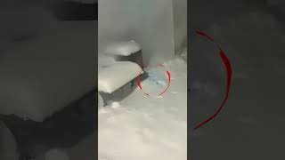 Coloured Snow Trick Goes Wrong 😂