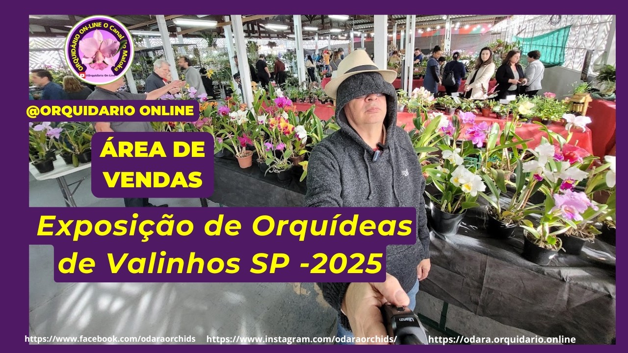 Preços e Plantas na Área de Vendas de Orquídeas 17a Exposição de Orquídeas de Valinhos SP 2025