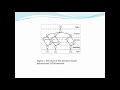Attention-Based Deep Learning System for Negation and Assertion Detection in Clinical Notes