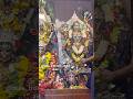 MAA NKA SANDHYA ALATI #berhampur #odisha #dandanacha #thakurani #kali #maa #puja
