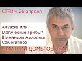 КАРАНТИНКИ. Прямой Эфир