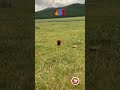 Байгаль эх #монгол #mongolia
