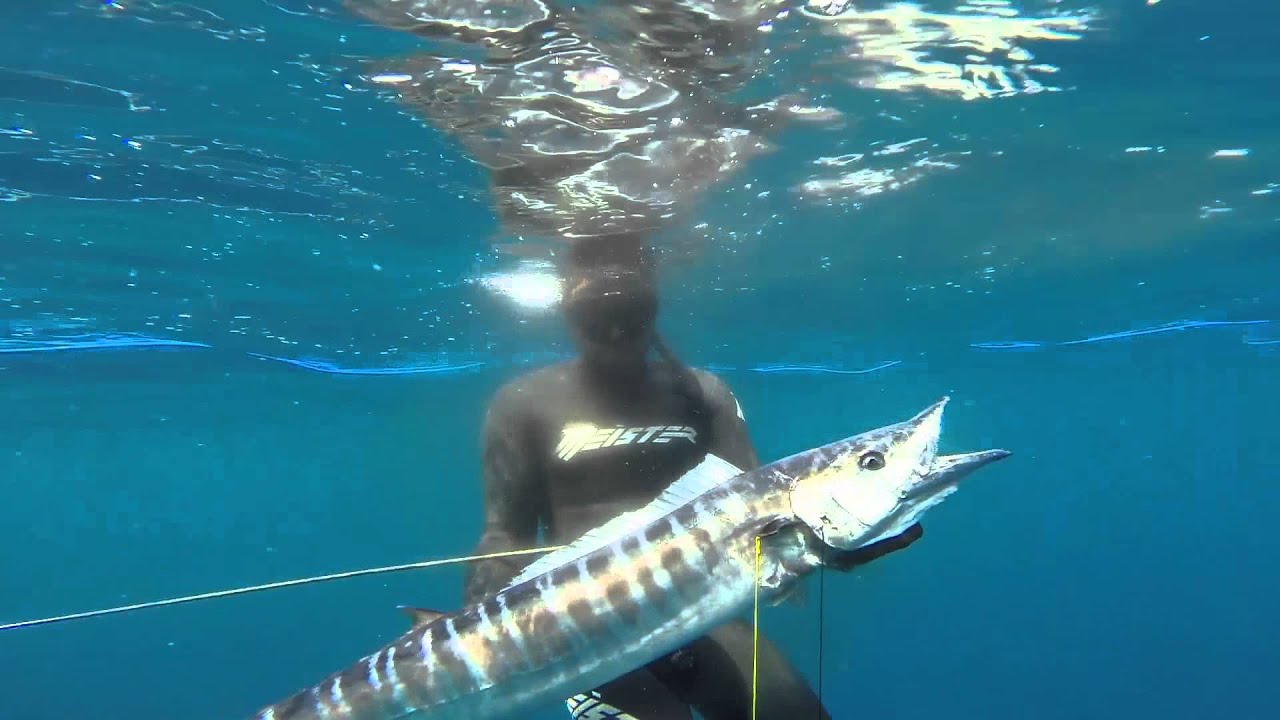 Zanzibar Spearfishing Safari 2014 YouTube