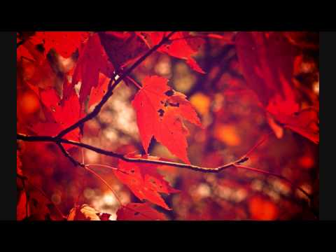 Autumn Video