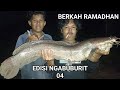 BERKAH RAMADHAN.!! DAPAT RAJANYA IKAN LELE JUMBO DI PETUALANG EDISI NGABUBURIT 04