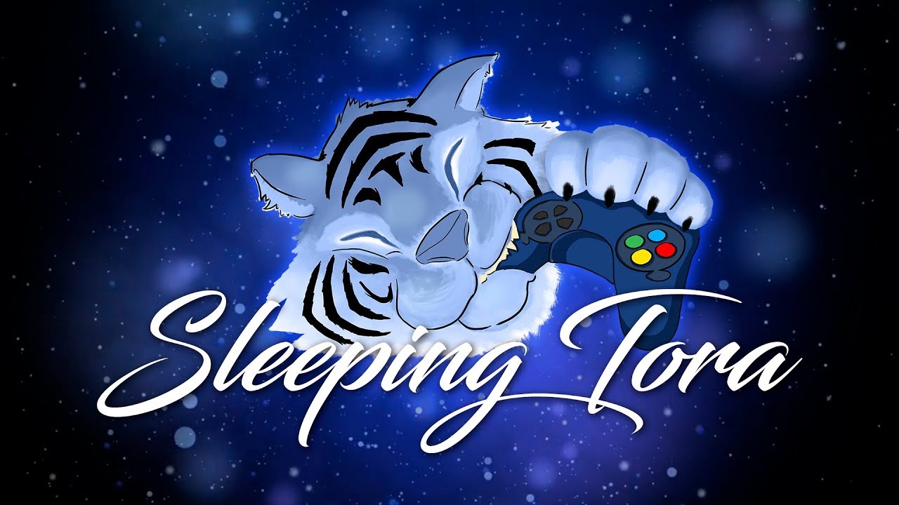Bienvenido a SleepingTora