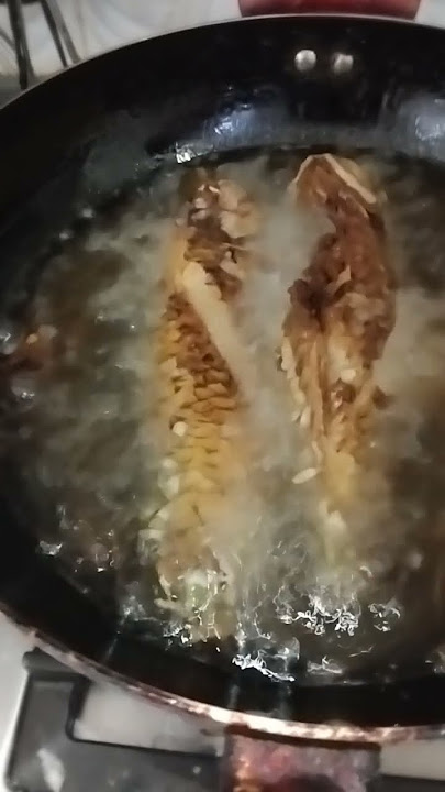 allamy fish #highlights #fish #fresh#shorts #yummy