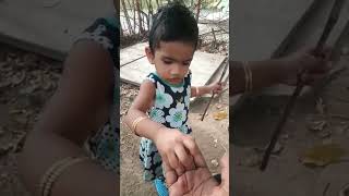 Athipalamfigfruitjael cutebaby doglovers