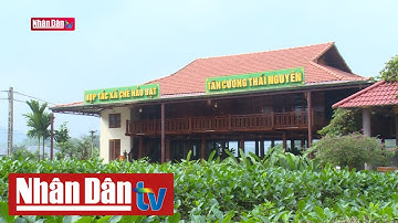 Về miền đất chè Tân Cương | Điểm đến