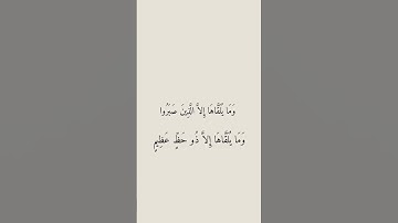 سورة فصلت #explore #اكسبلور #قرآن #قران_كريم #قران #اكسبلورر #سورة_فصلت