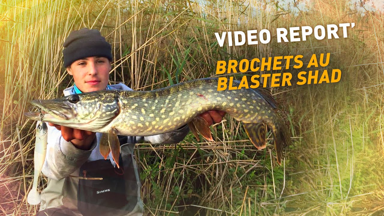 Fiiish - Brochets au Blaster Shad - Video Report'