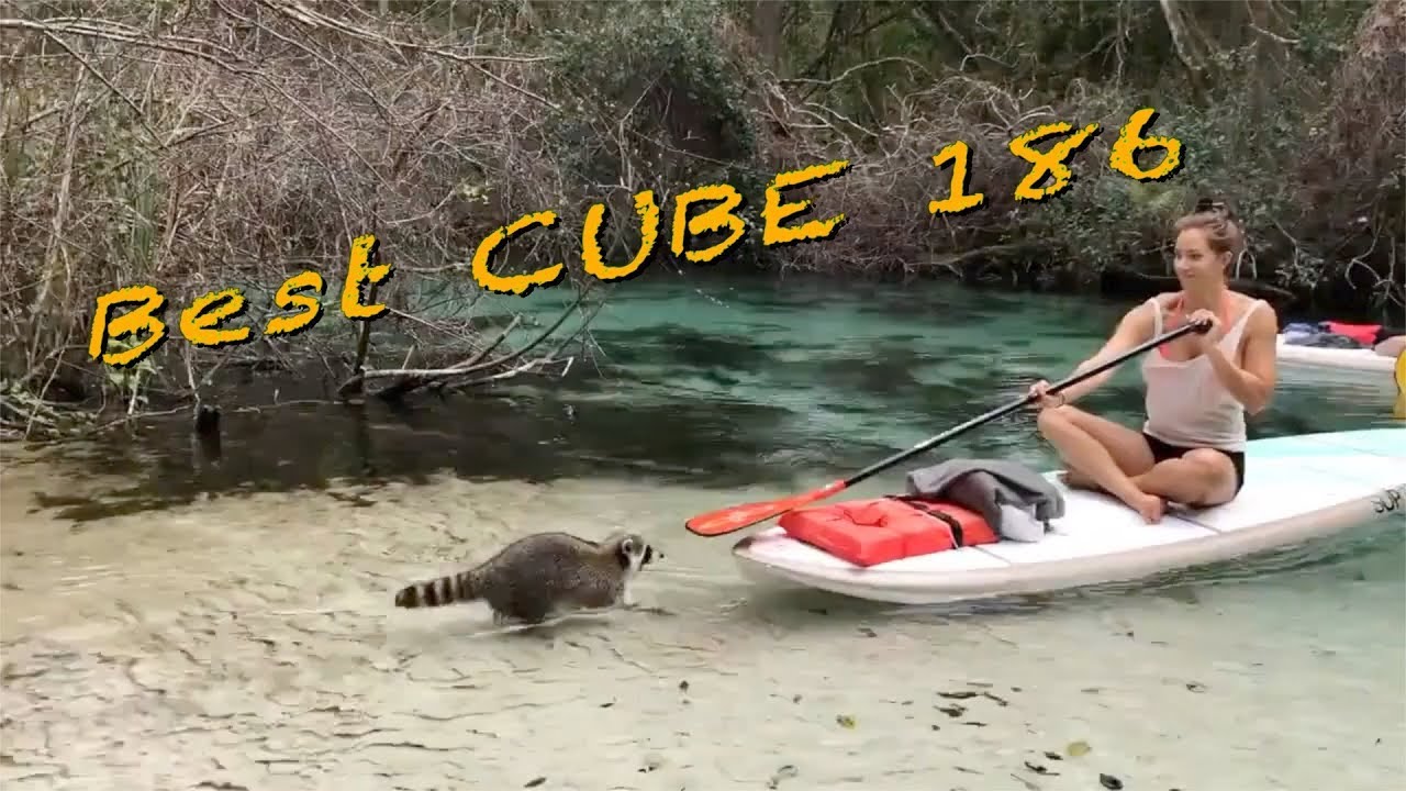 Лучшие Кубики за Неделю / CUBE Of The Week № 186 - YouTube
