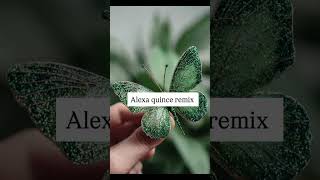 Alexa quince remix 