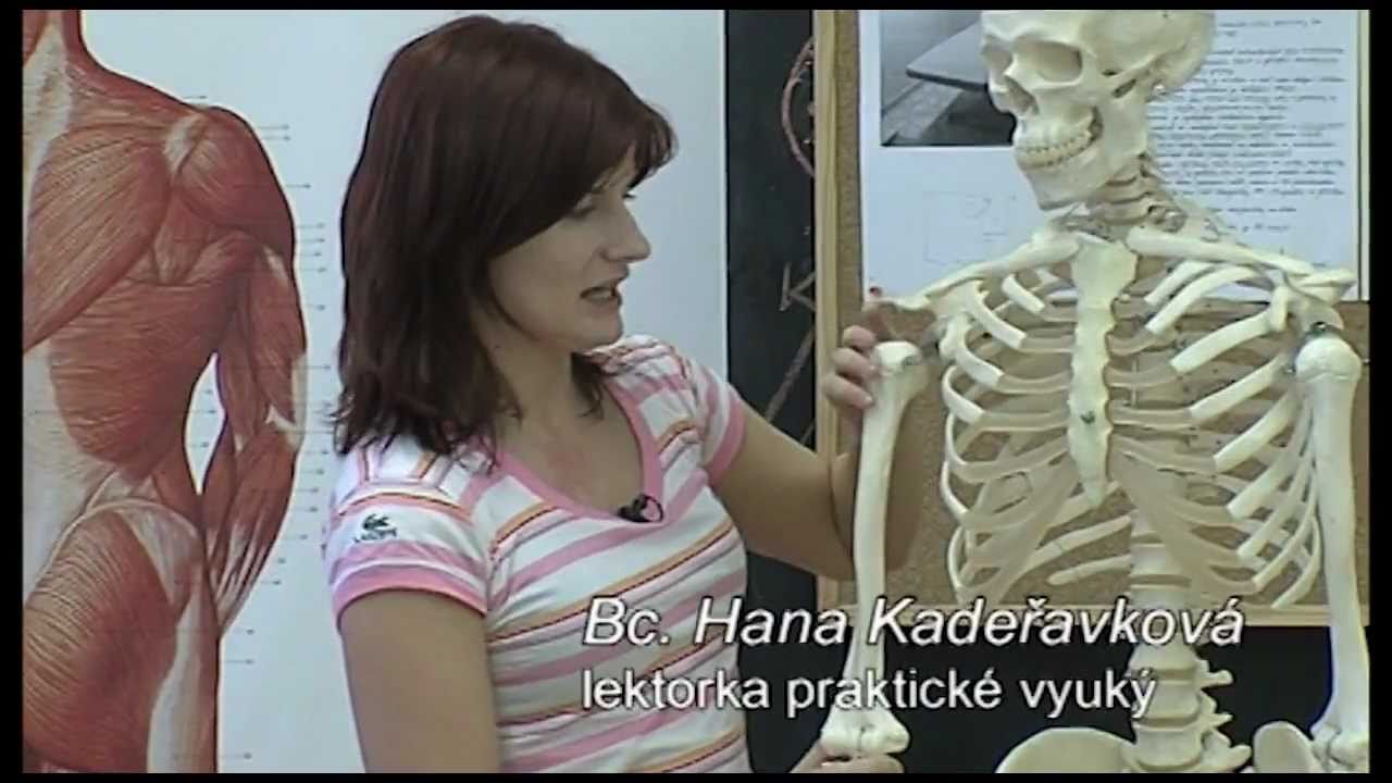 Masérský kurz-Masérská škola Mgr.Šimáčka