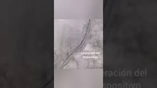 Jorge Eduardo Martinez Cachon-22