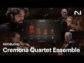 Introducing Cremona Quartet Ensemble | Native Instruments
