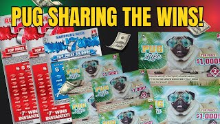 🐶PUG SHARES THE WINS🐶 RUBY RED 7s🔴 SAPPHIRE BLUE 7s🔵 SCRATCH OFF TICKETS