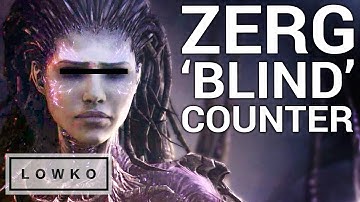 StarCraft 2: ZERG BLIND COUNTER?! (Scouting Guide)