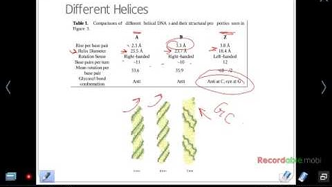 Chapter 3 Nucleic Acids