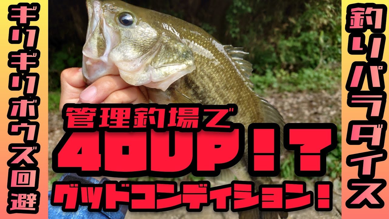 釣りパラダイス で40up グッドコンディション バス釣り Bassfishing 魚釣り系you Tuberまとめサイト Fishing 釣りパラダイス で40up グッドコンディション バス釣り Bassfishing 魚釣り系you Tuberまとめサイト Fishing