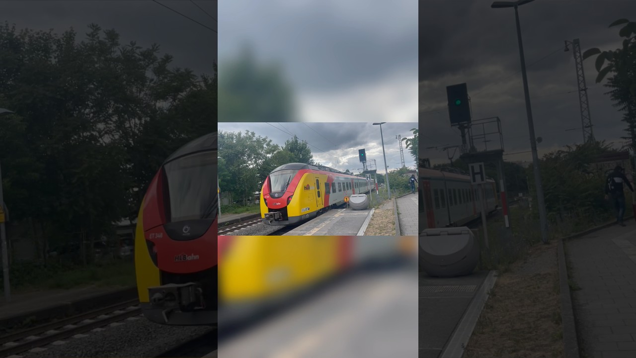 Dreiteilige HLB-Grinsekatze als RE 9 nach Eltville