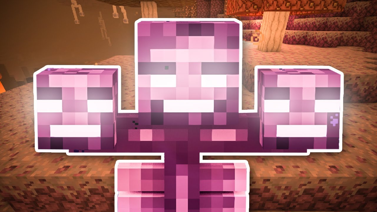 R.A.D Minecraft Modpack Ep. 16 Easy Wither Skulls