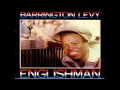 Miniature de la vidéo de la chanson Englishman
