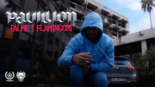 PAVILLION - PALME I FLAMINGOSI ( VIDEO)