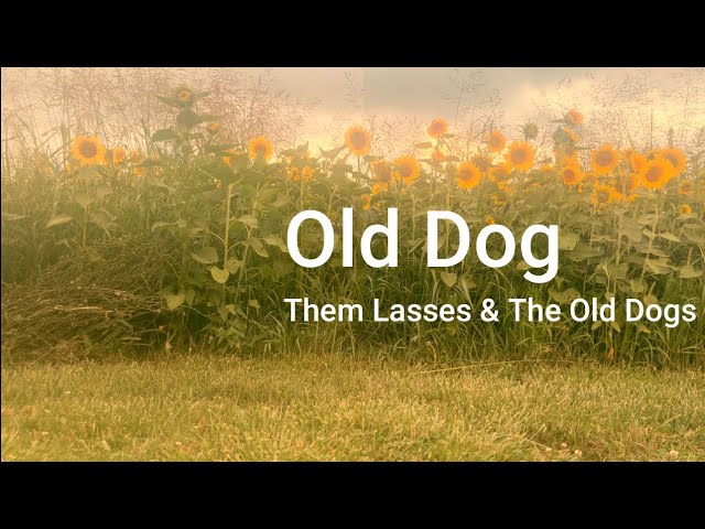 Watch Them Lasses & The Old Dogs - Old Dog (Official Music Video) on YouTube Watch Them Lasses & The Old Dogs - Old Dog (Official Music Video) on YouTube