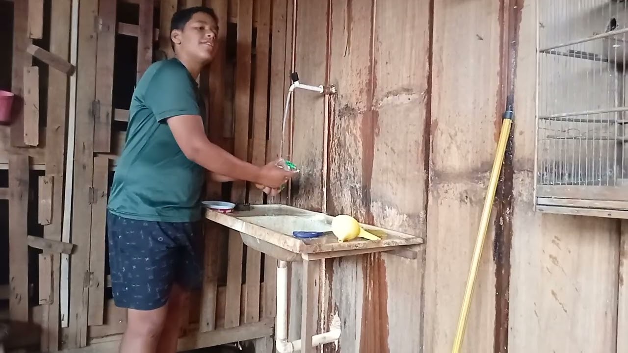 Dia de limpar a criação