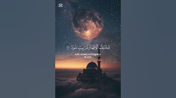 سورة فاطر {الآية 27} بصوت الشيخ ياسر الدوسري ❤️❤️