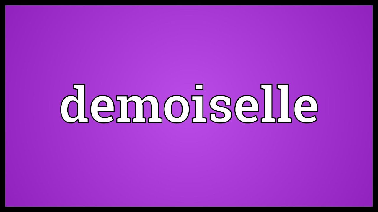 Demoiselle Meaning YouTube