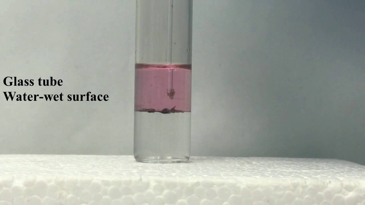 How Janus Nanosheets Work in the Oil Industry