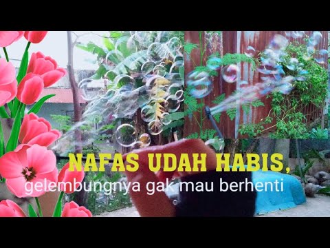 Video: Cara Mengembung Buih Sabun