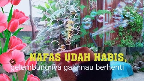 💚CARA MEMBUAT GELEMBUNG SABUN YANG BANYAK DENGAN 2 BAHAN SAJA