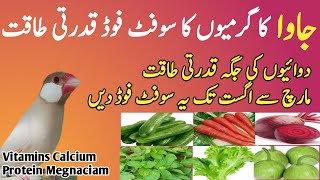 Java soft food for summer | best soft food for java in summer| جاوا کو گرمیوں میں کونسی سبزیاں دیں screenshot 2