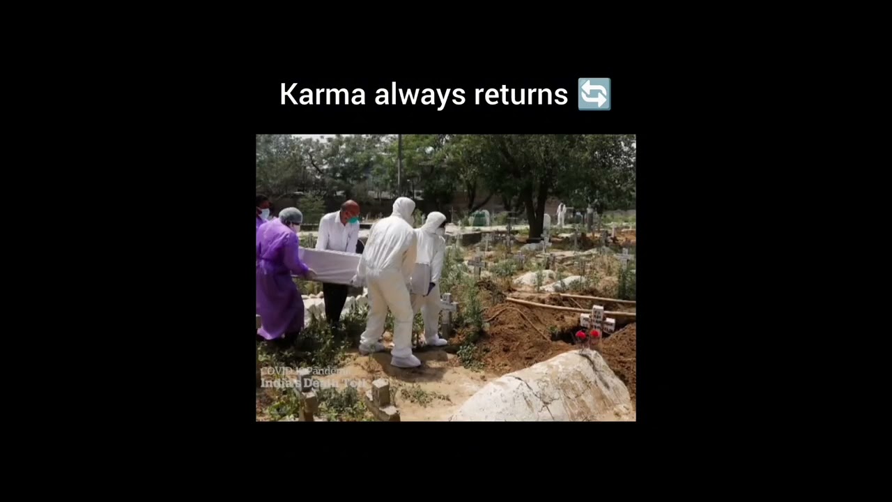 Save forest, save animals