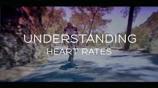 Understanding Heart Rates - For Cyclists