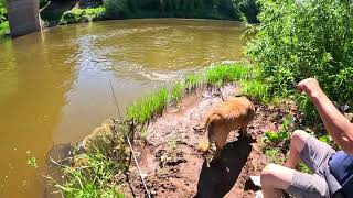 ▶️Вовчик ловит а я удочки делаю.