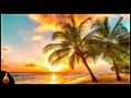 Island reggae music  upbeat tropics  tropical island beach music