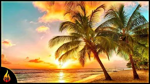 Island Reggae Music | Upbeat Tropics | Tropical Island Beach Music