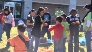 Cyfest 2014 Pumpkin Patch