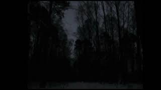 Aster - After Dark