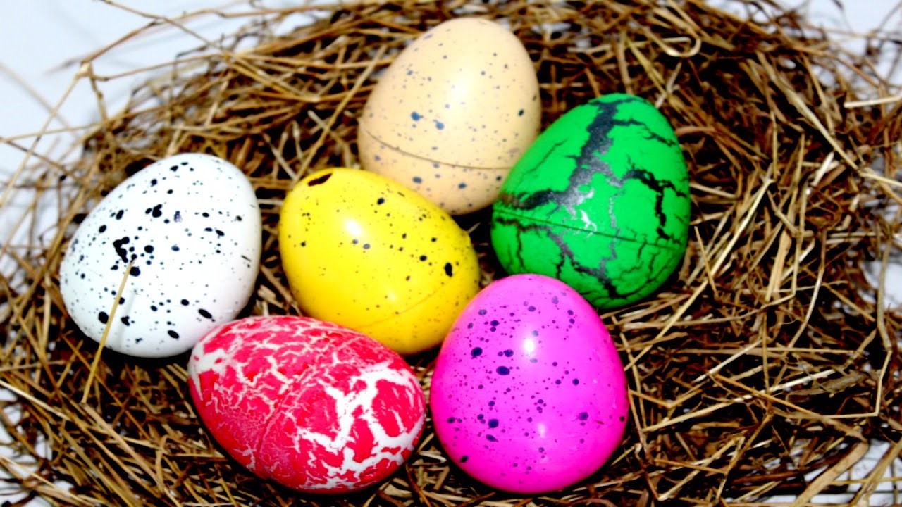 Dinosaurs Egg Let's Learn Colors Magic Grow Dinosaurs Hatch and Grow