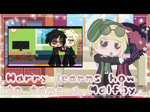 Harry Learns “how to tame a Malfoy”skit/Drarry💚❤️