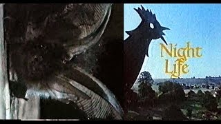 Night Life  David Attenborough  1980s documentary