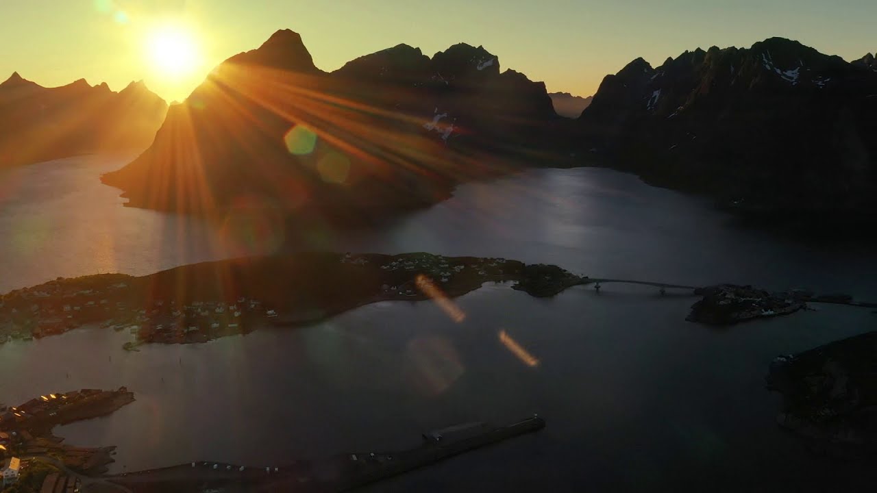 Harald Nies - In Nature