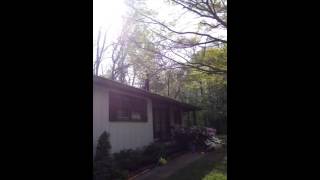 Matt's TLC part 1