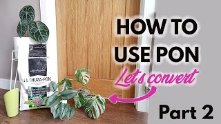 How to use Lechuza PON part 2 | Repotting plants | FAQ | Easy Plant Care | Planting Plants