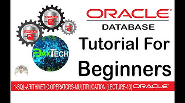 13 1 SQL ARITHMETIC OPERATORS MULTIPLICATION